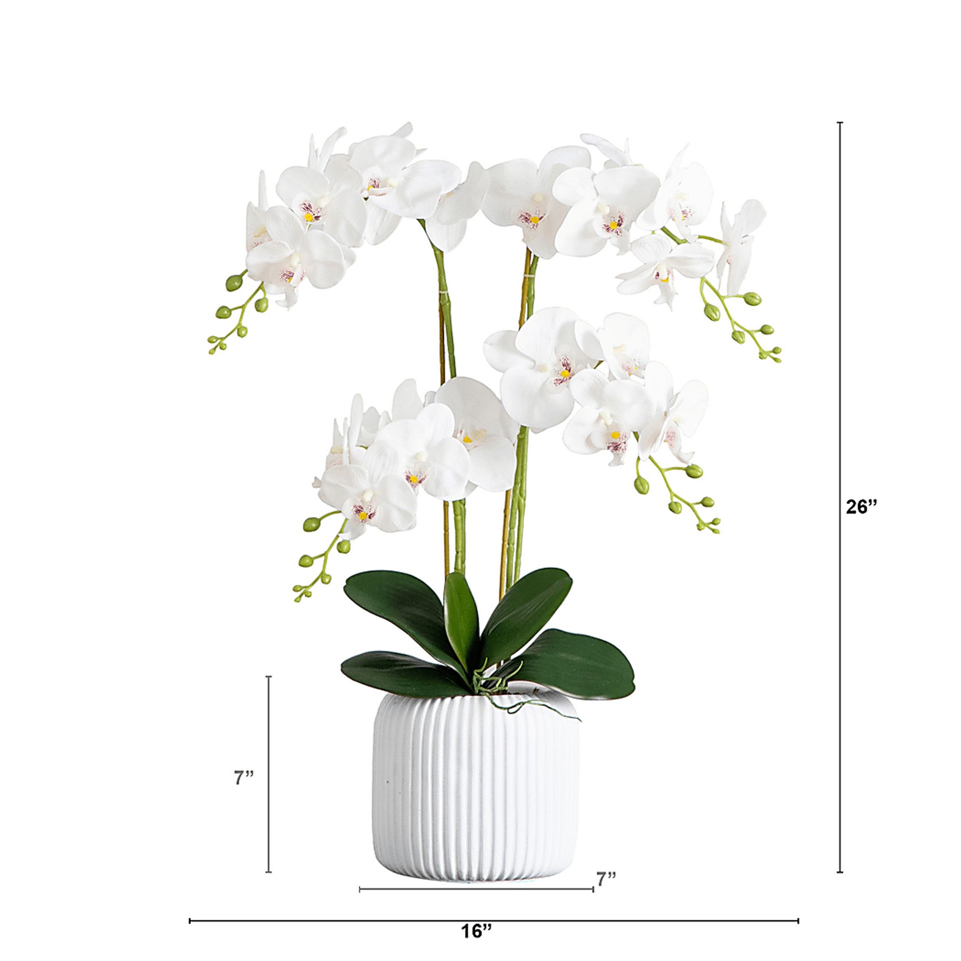 Bierer White Silk Floral - Image 8