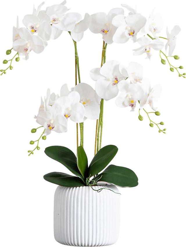 Bierer White Silk Floral - Thumbnail - Image 1