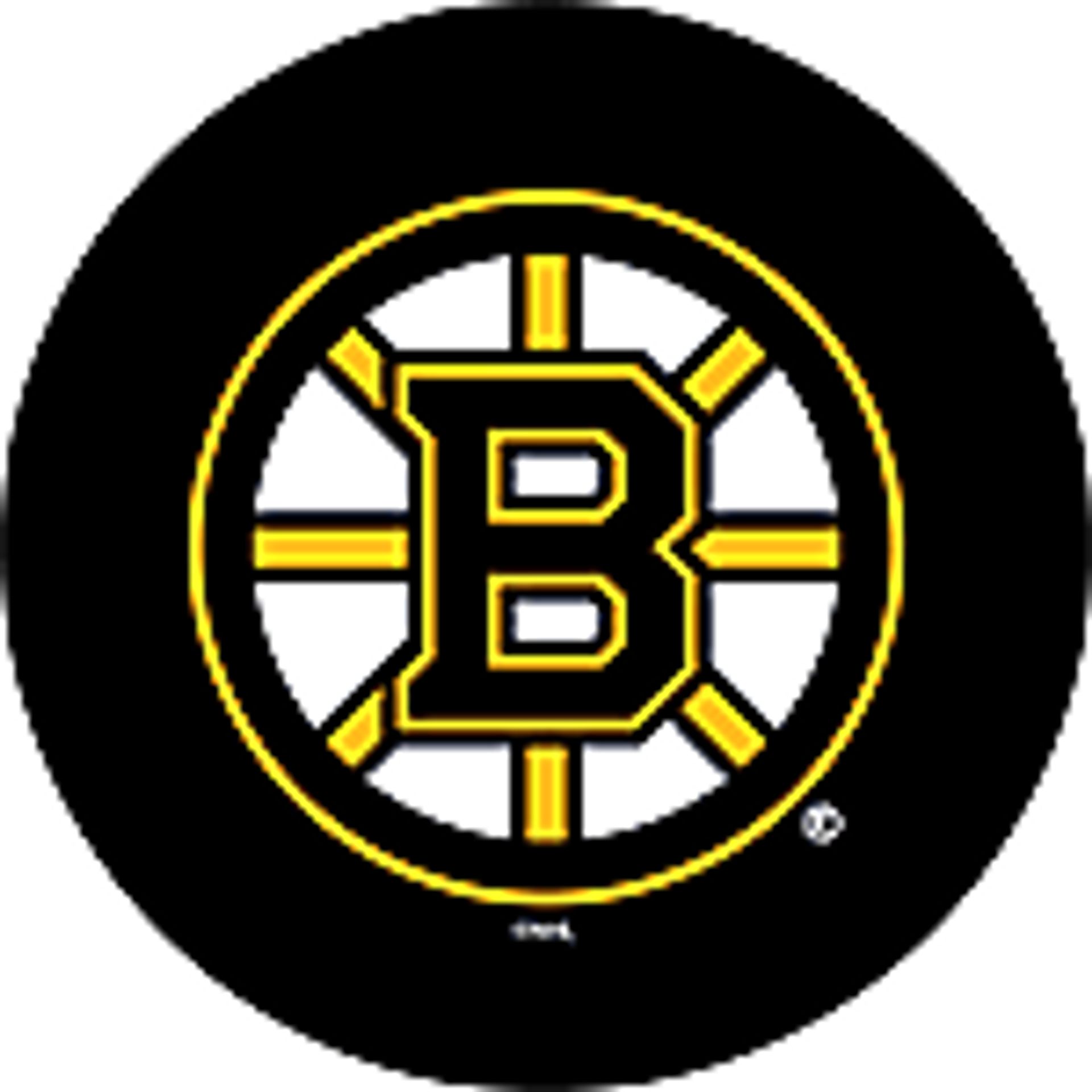 Bruins