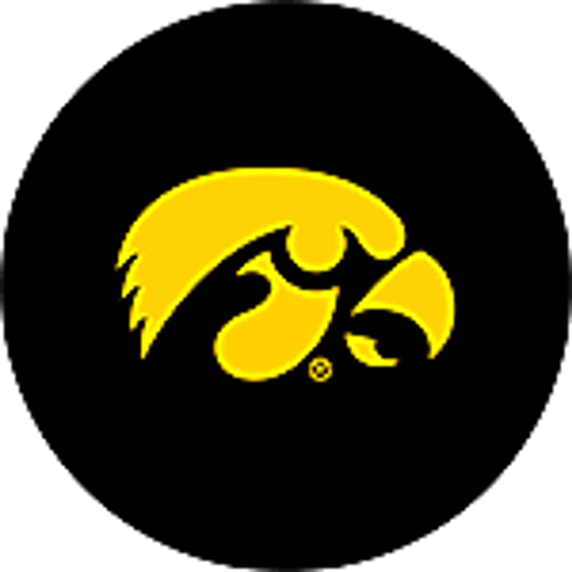 University Of Iowa