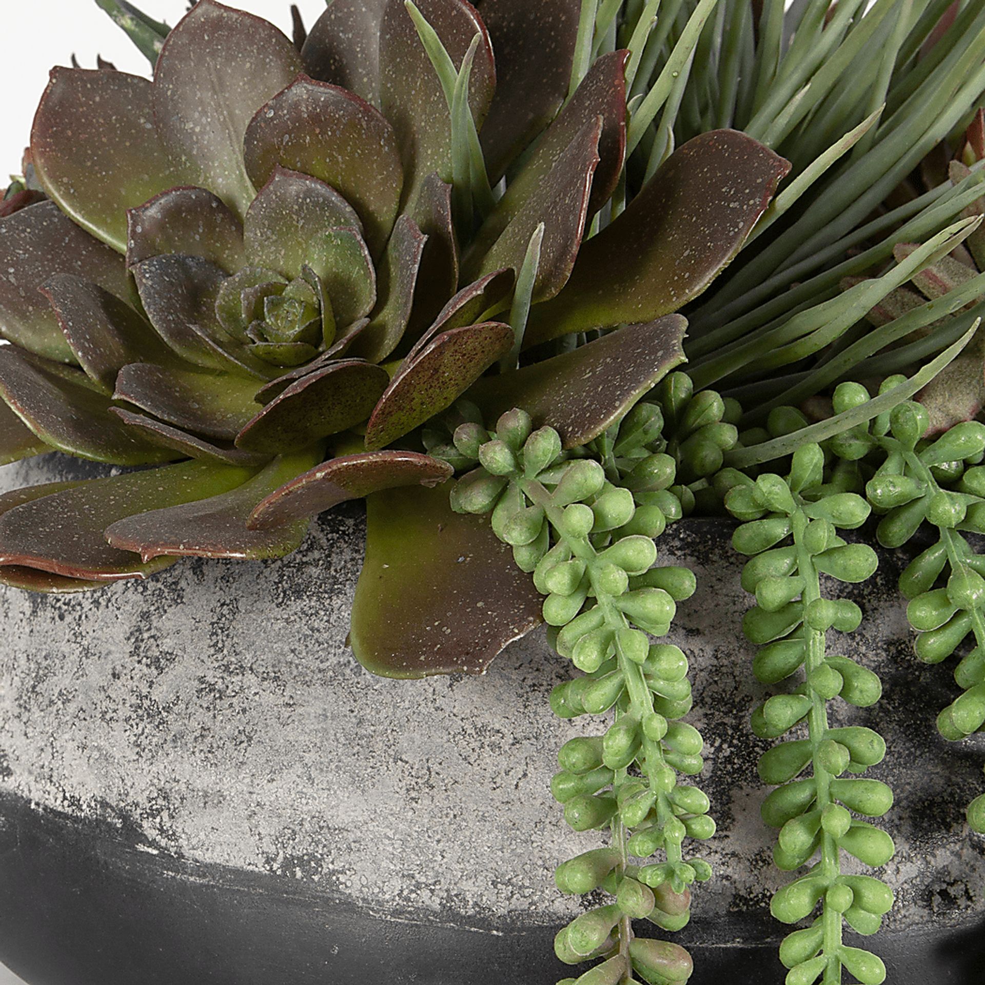 Bijou Gray Silk Plant - Image 3