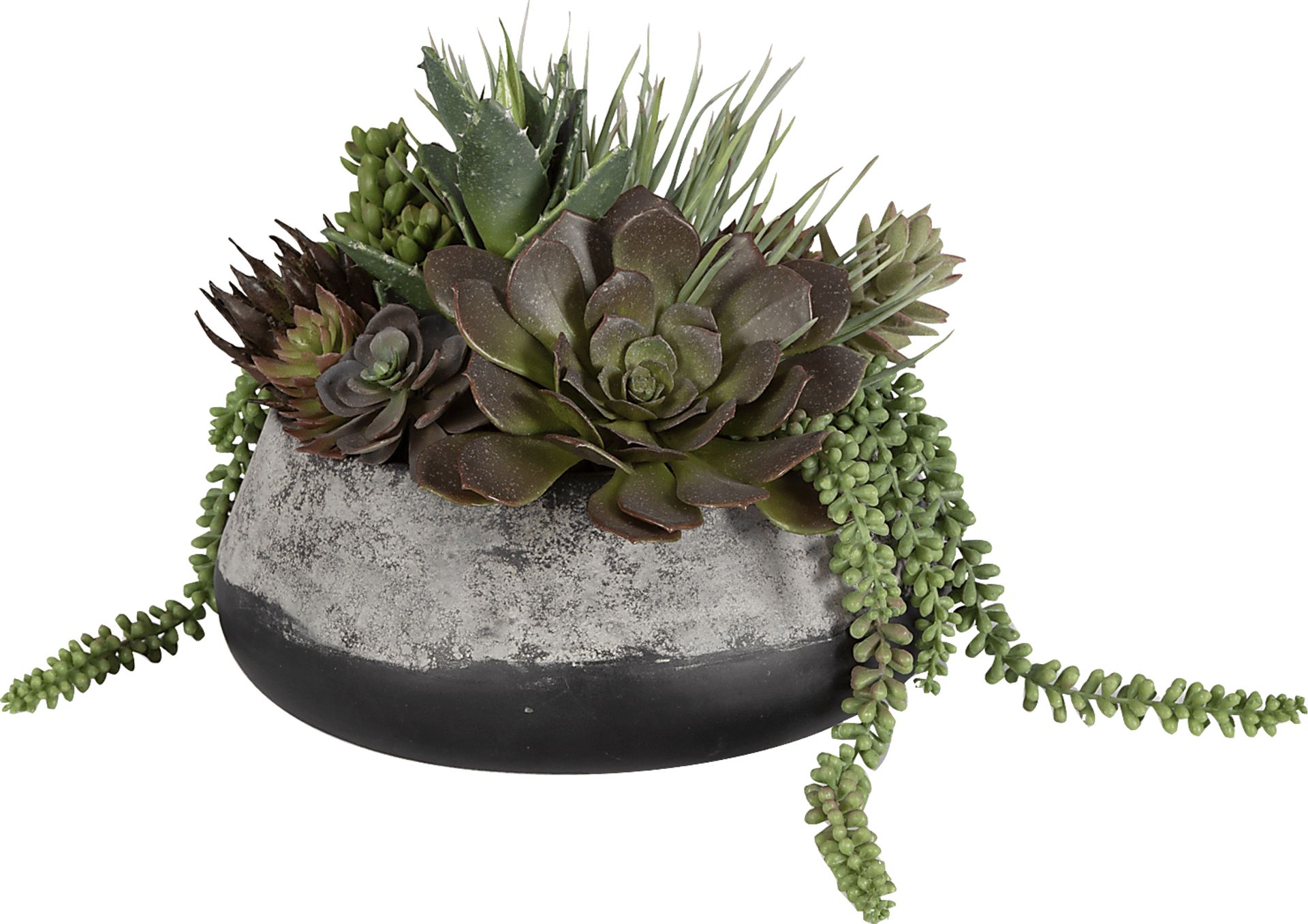 Bijou Gray Silk Plant - Image 4