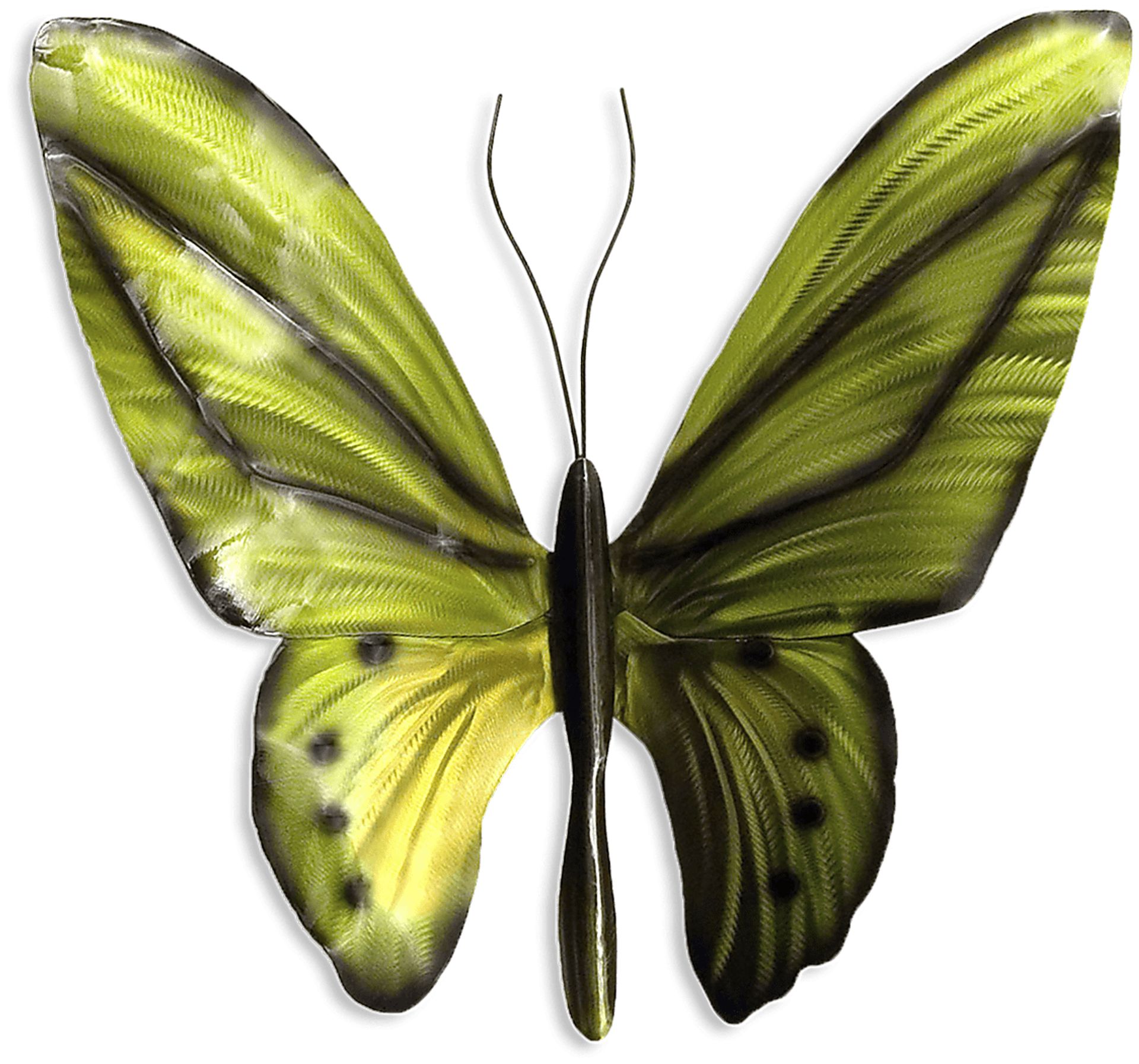 Birdwing Butterfly Green Outdoor Artwork - Image 1