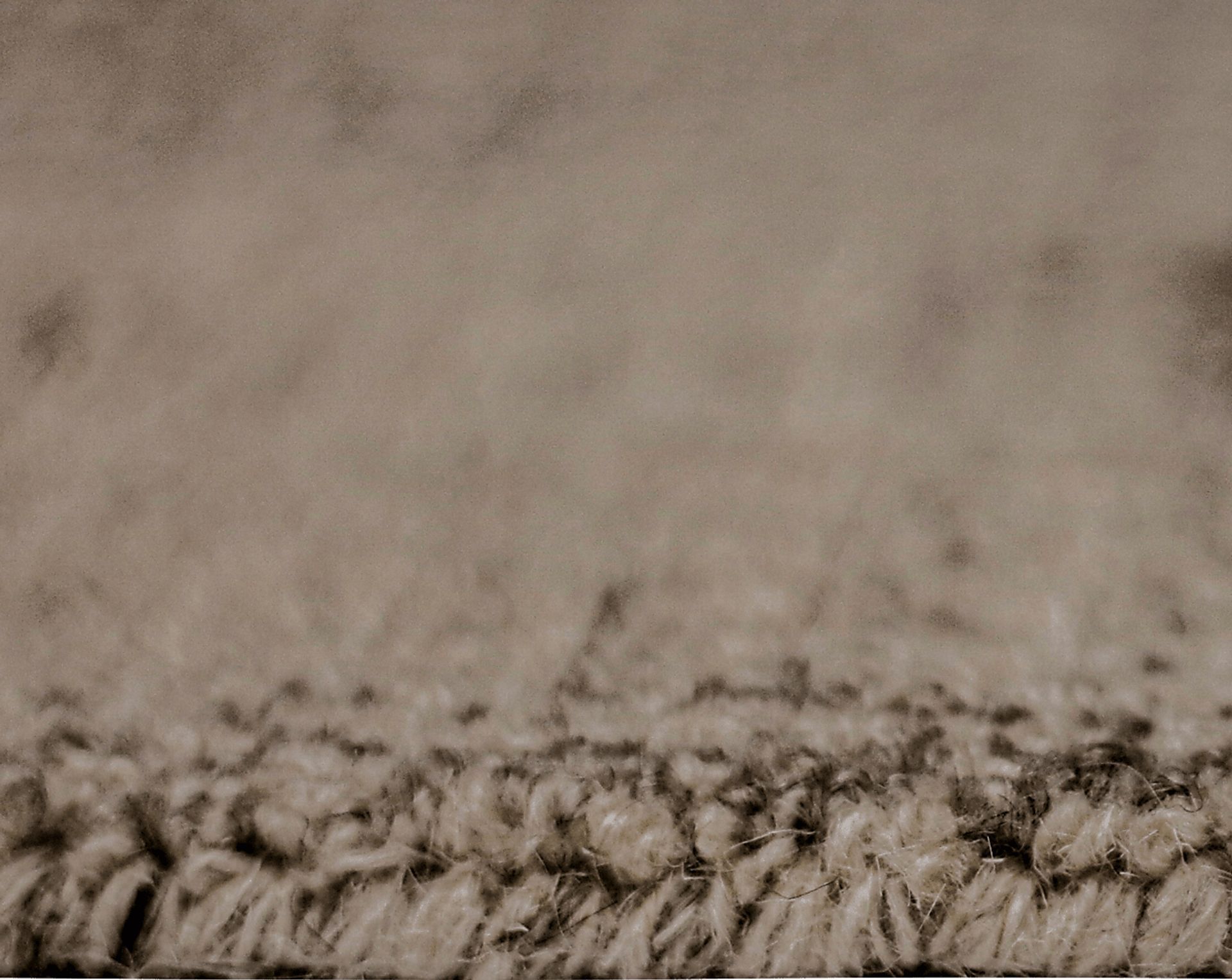 Blaxland Ivory 7'6 x 9'6 Rug - Image 6