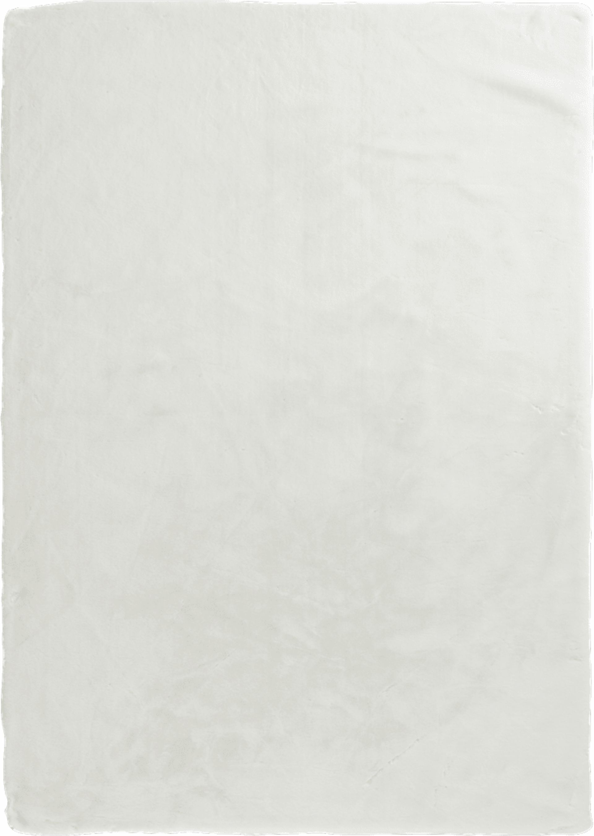 Blayne Ivory 5' x 7' Rug - Image 1