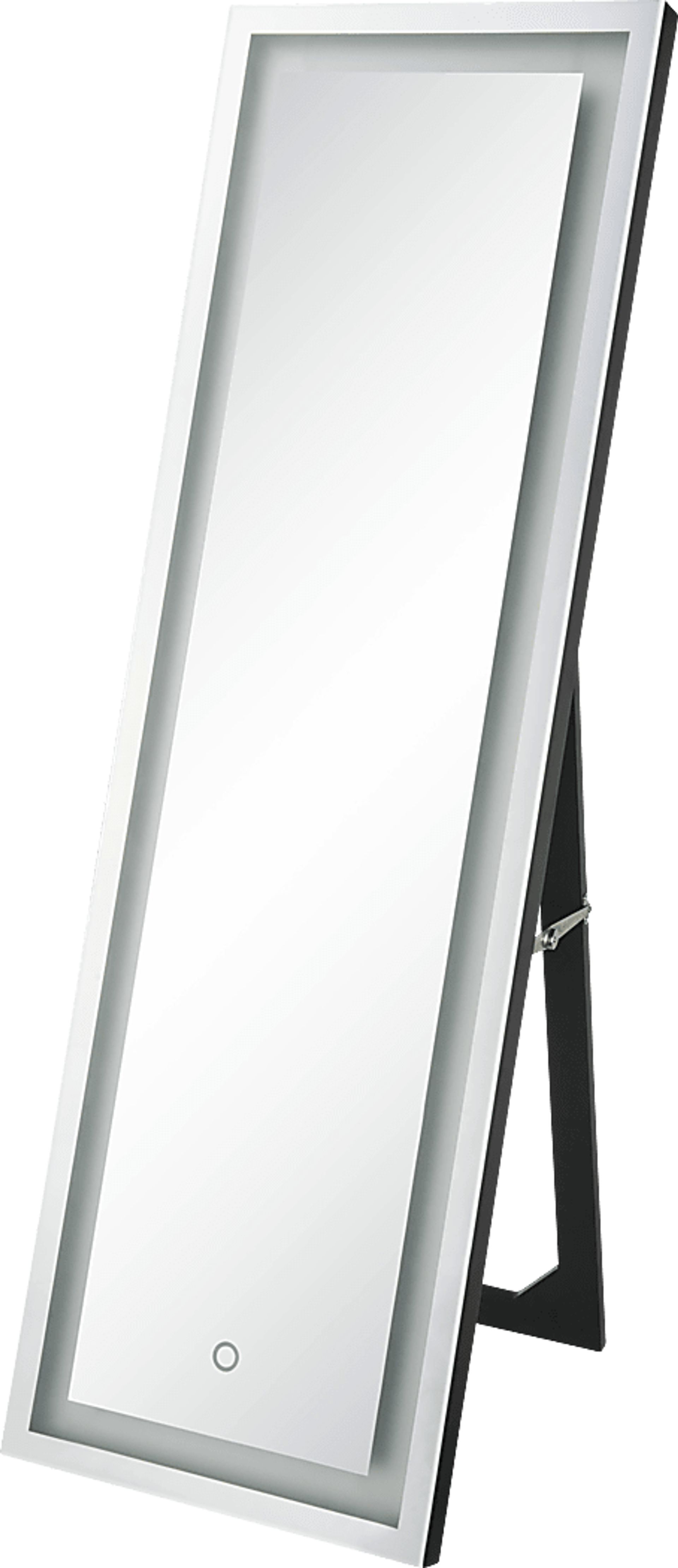 Bleemel Silver Floor Mirror - Image 1