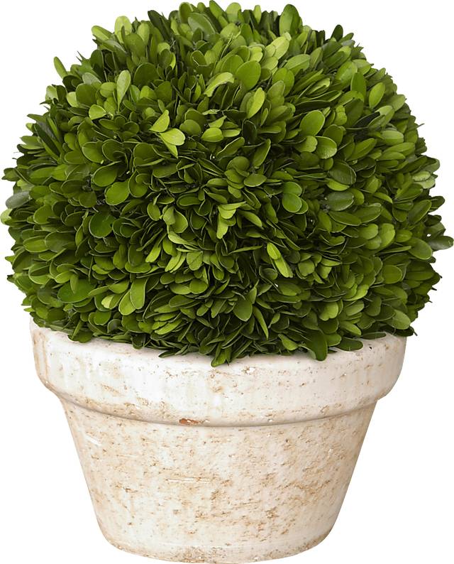 Blimah Green Vase - Thumbnail - Image 1