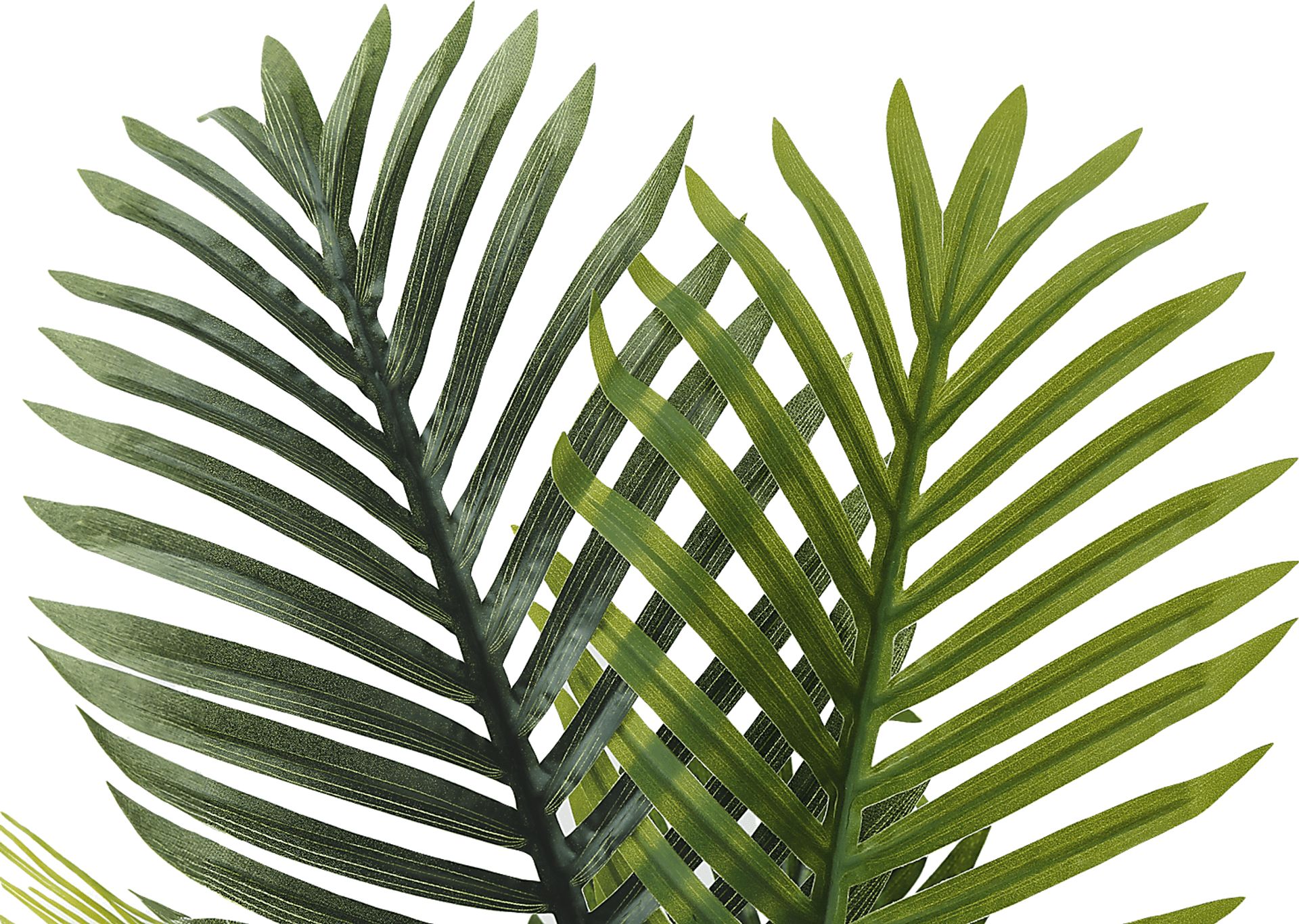 Blolly Green Artificial Palm Tree - Image 4