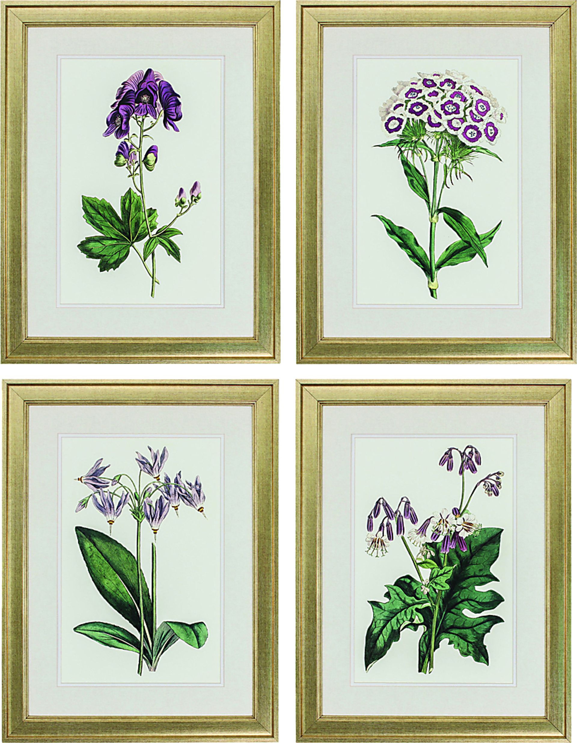 Bloom Town Set of 4 Artwork - Image 1