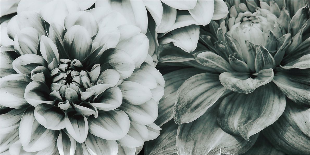Blooming Season Artwork