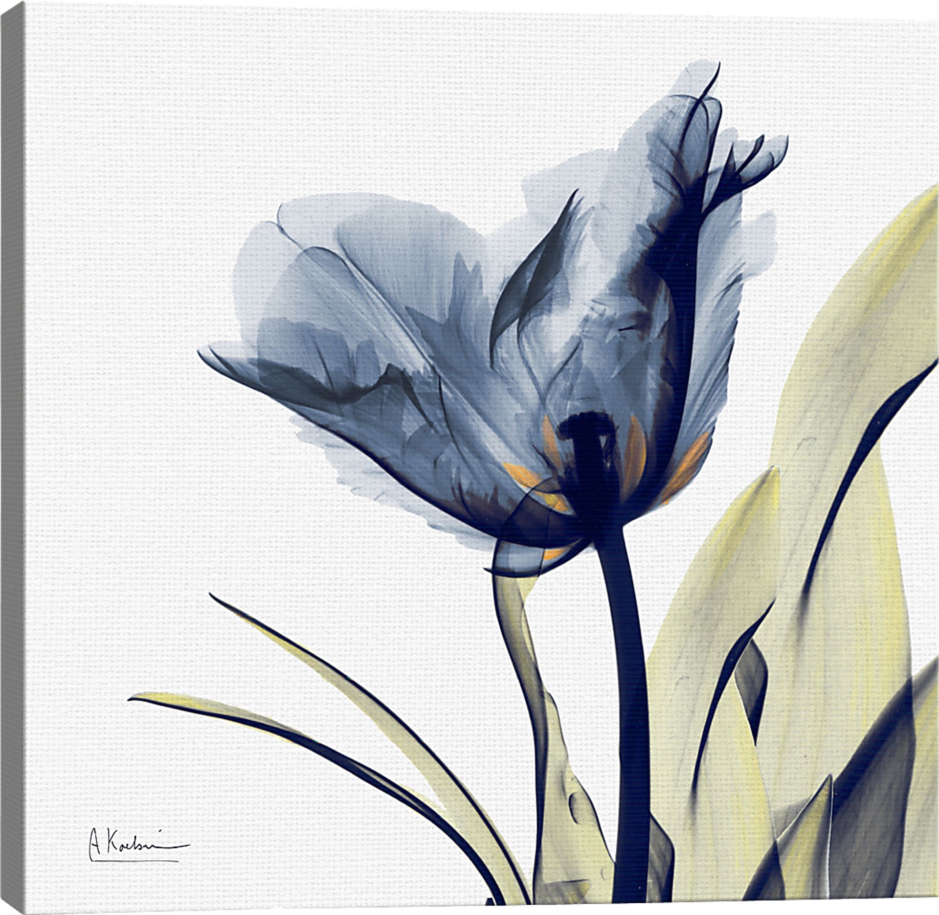 Blue Tulip Multi Artwork - Image 3