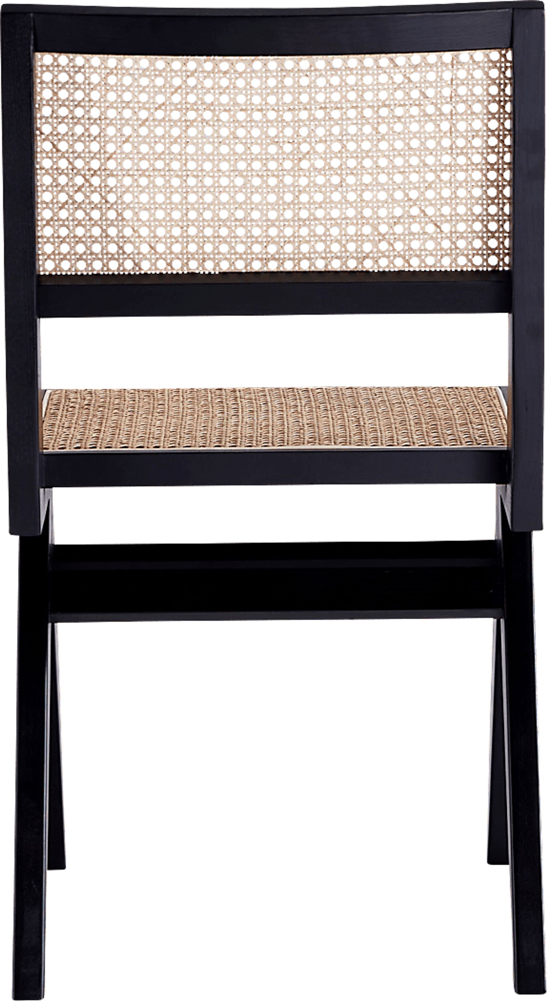 Bluesunny Black Side Chair, Set of 2 - Image 3