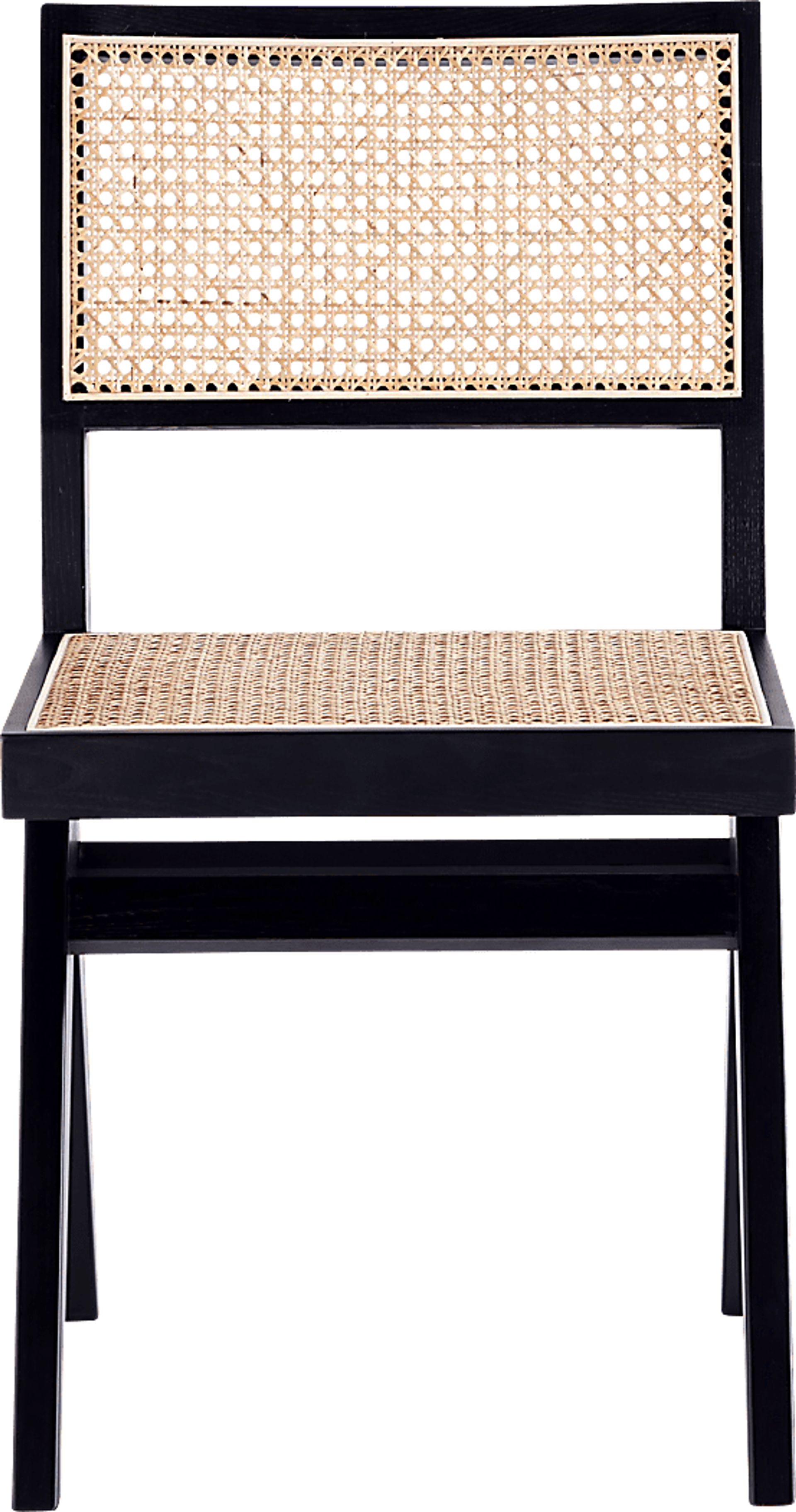 Bluesunny Black Side Chair, Set of 2 - Image 4