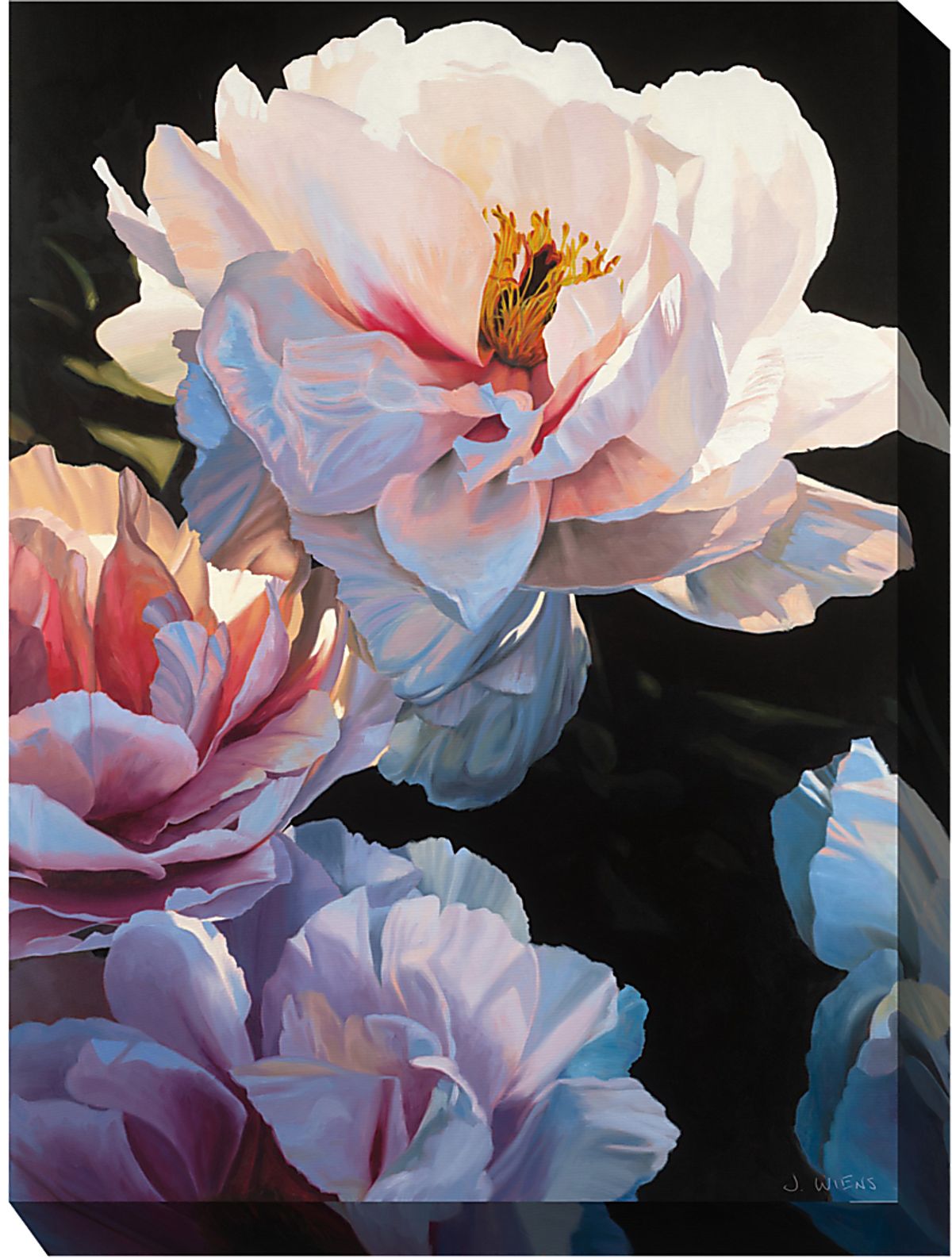 Blushing Blooms Outdoor Wall Decor Rooms to Go