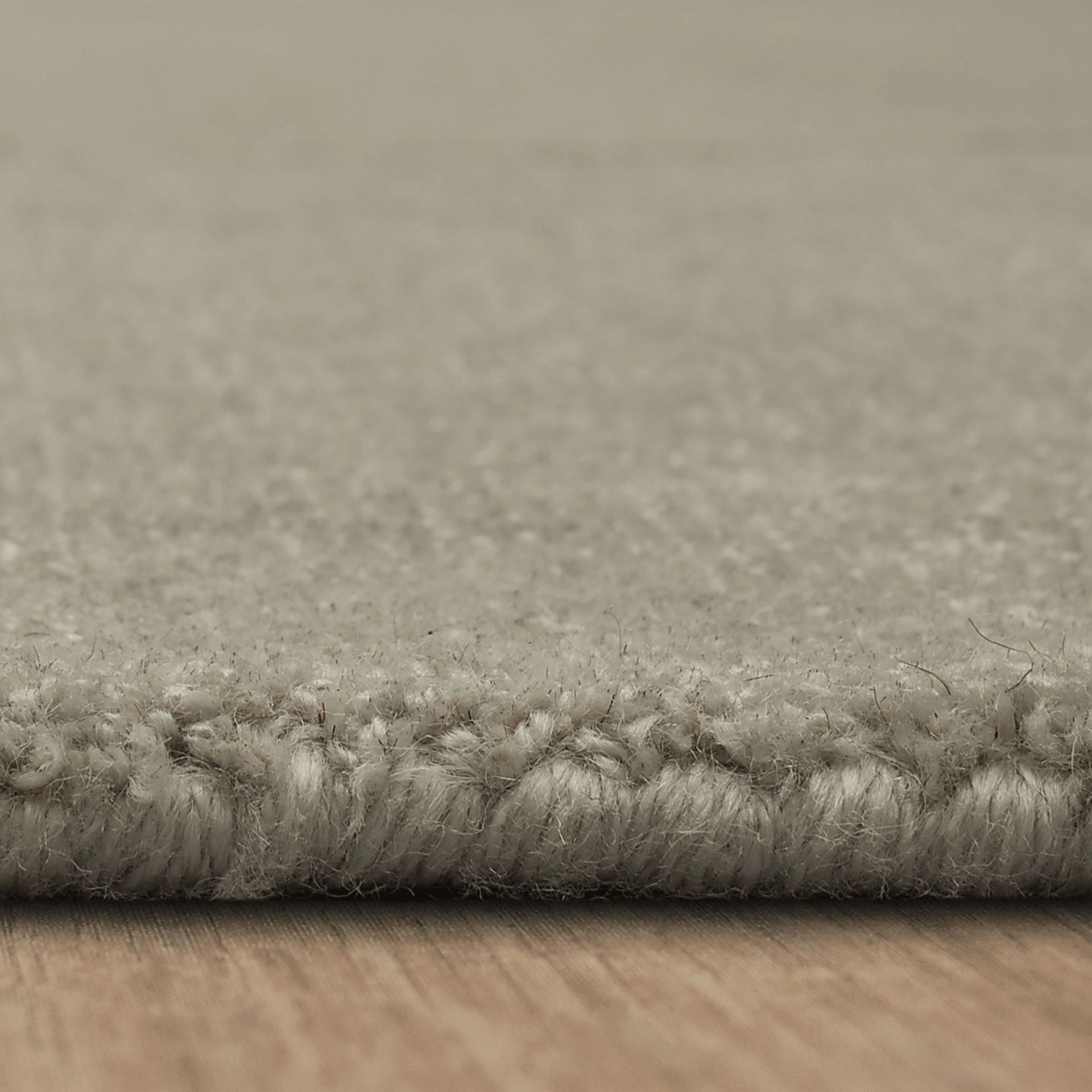 Bobby Berk Luna Sol Ivory 2' x 8' Runner Rug - Image 5