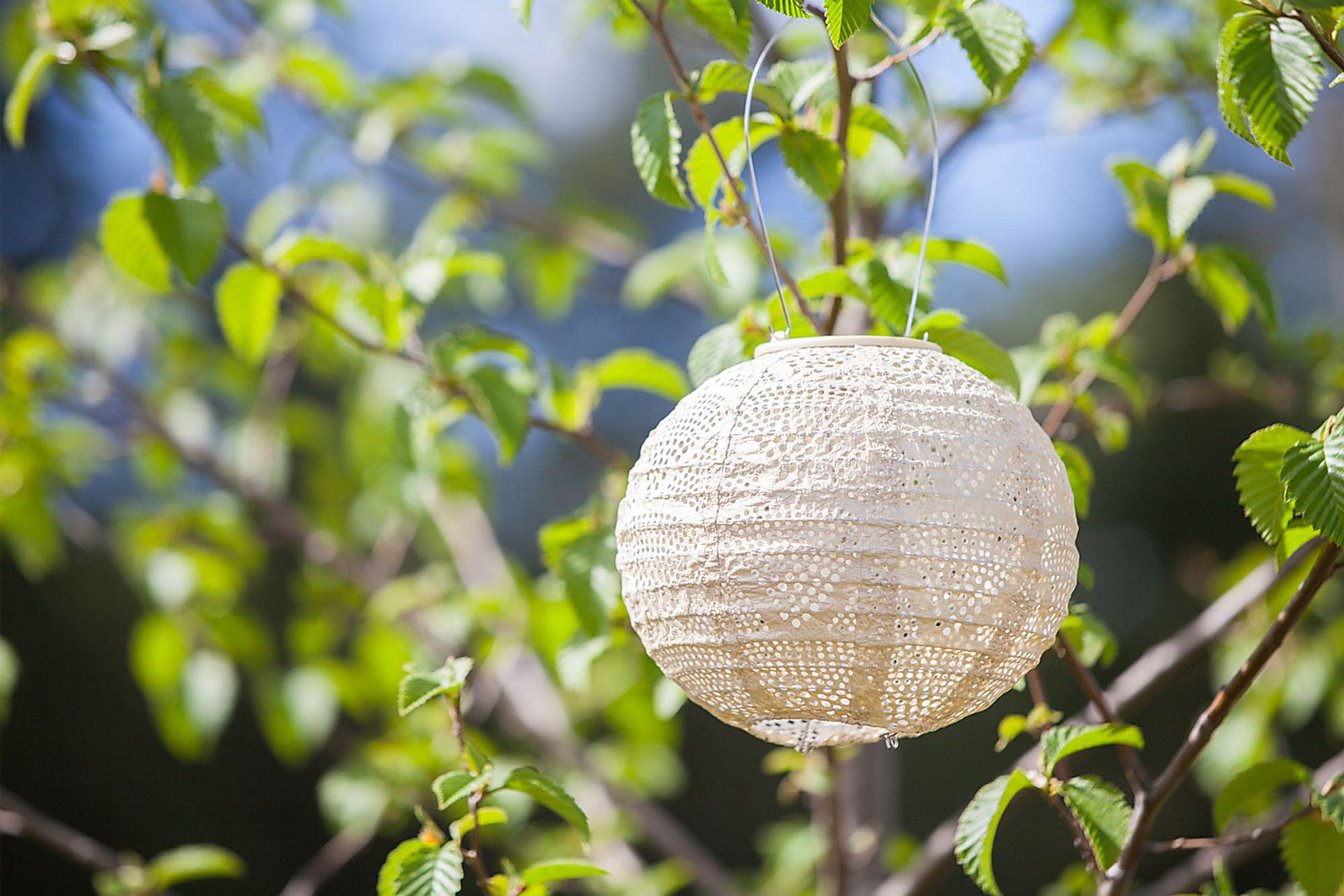 Bombora Pearl Outdoor Solar Lantern - Image 2