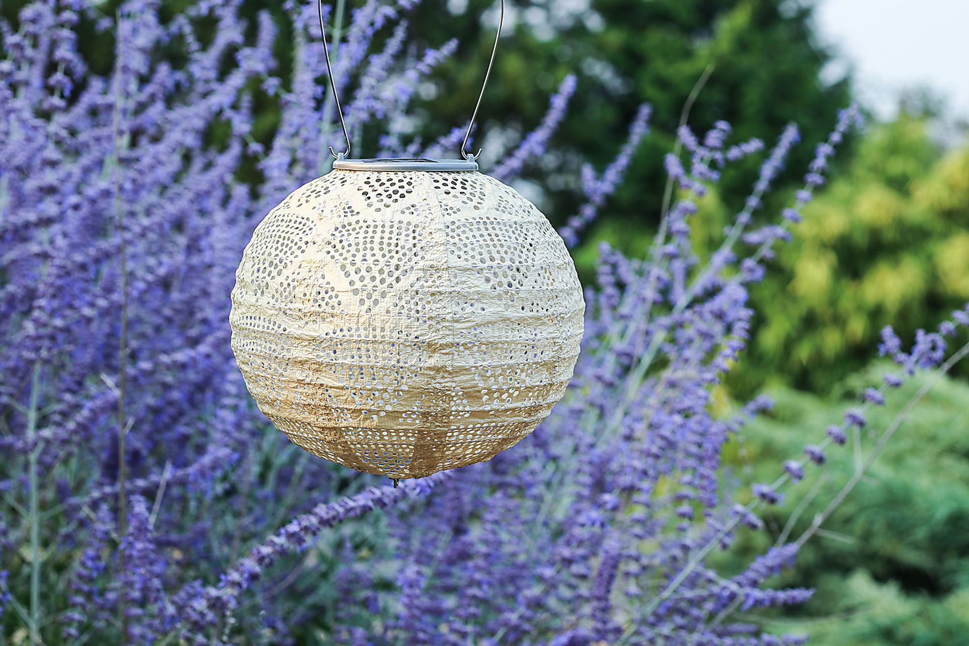 Bombora Pearl Outdoor Solar Lantern - Image 4