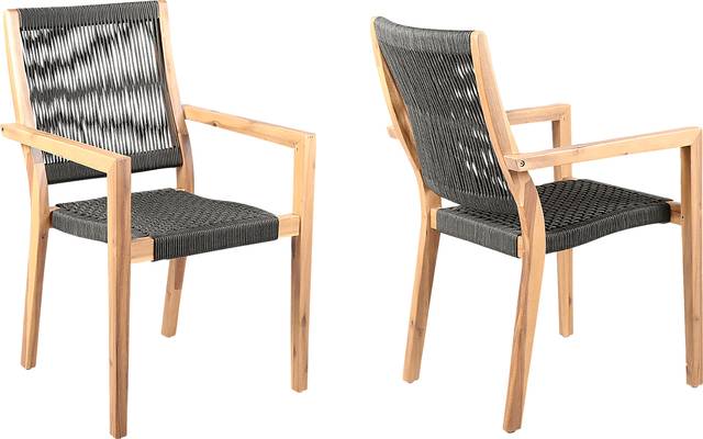 Outdoor Borbeck Black Arm Chair, Set of 2 - Thumbnail - Image 1