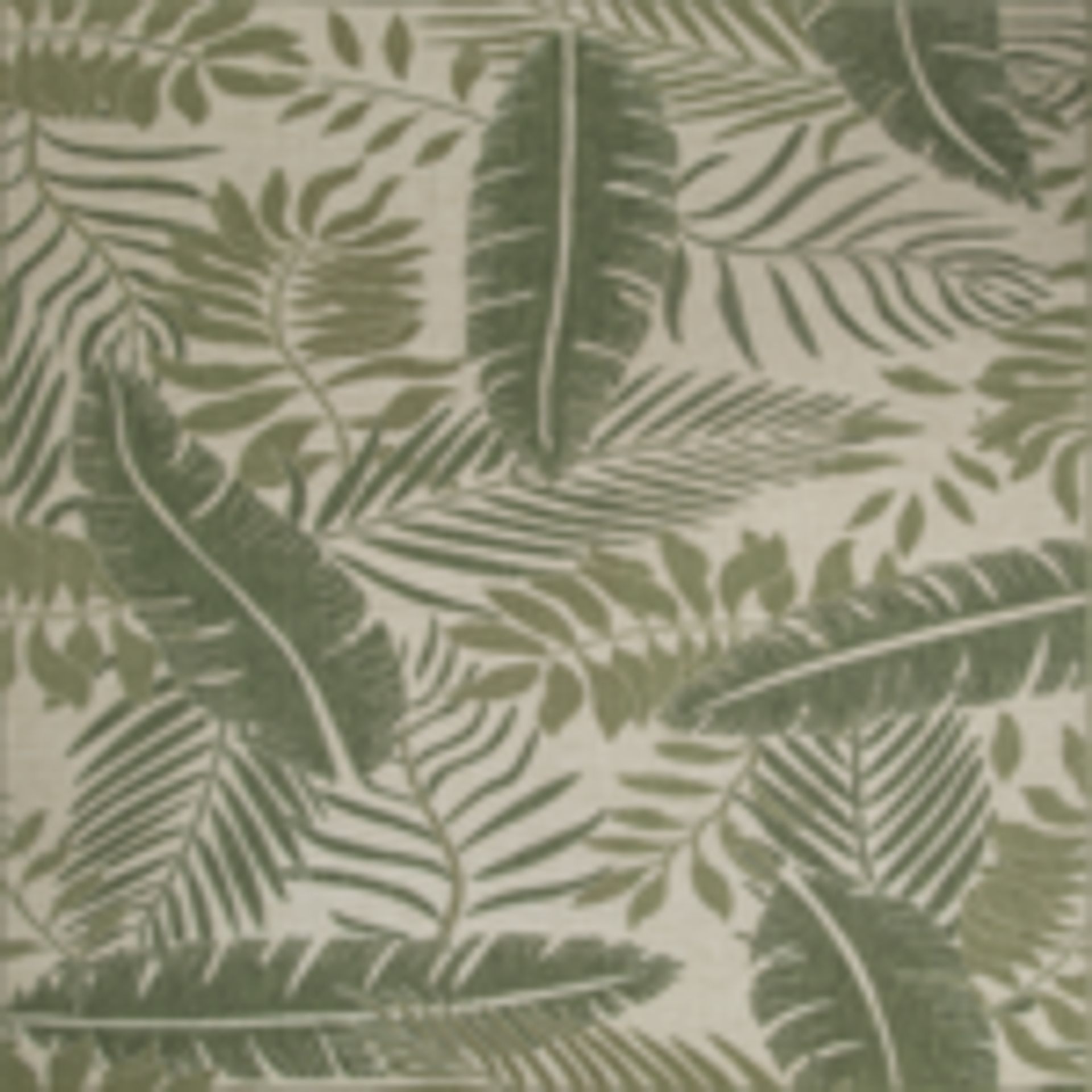 fern