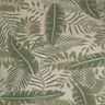 fern