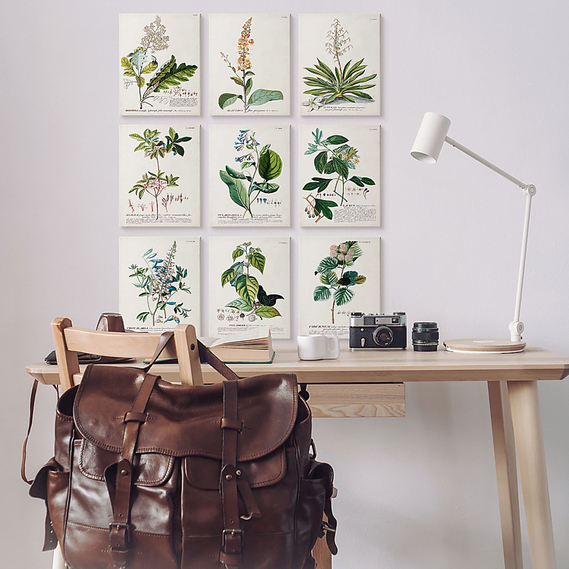 Botanical Dream Set of 9 Artwork - Image 2