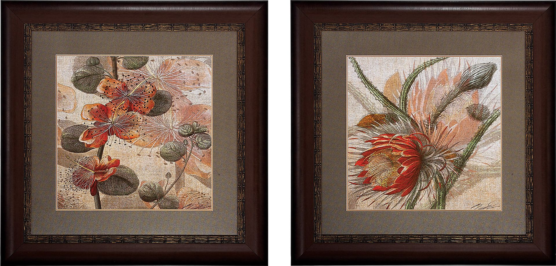 Botanicals Set of 2 Artwork - Image 1