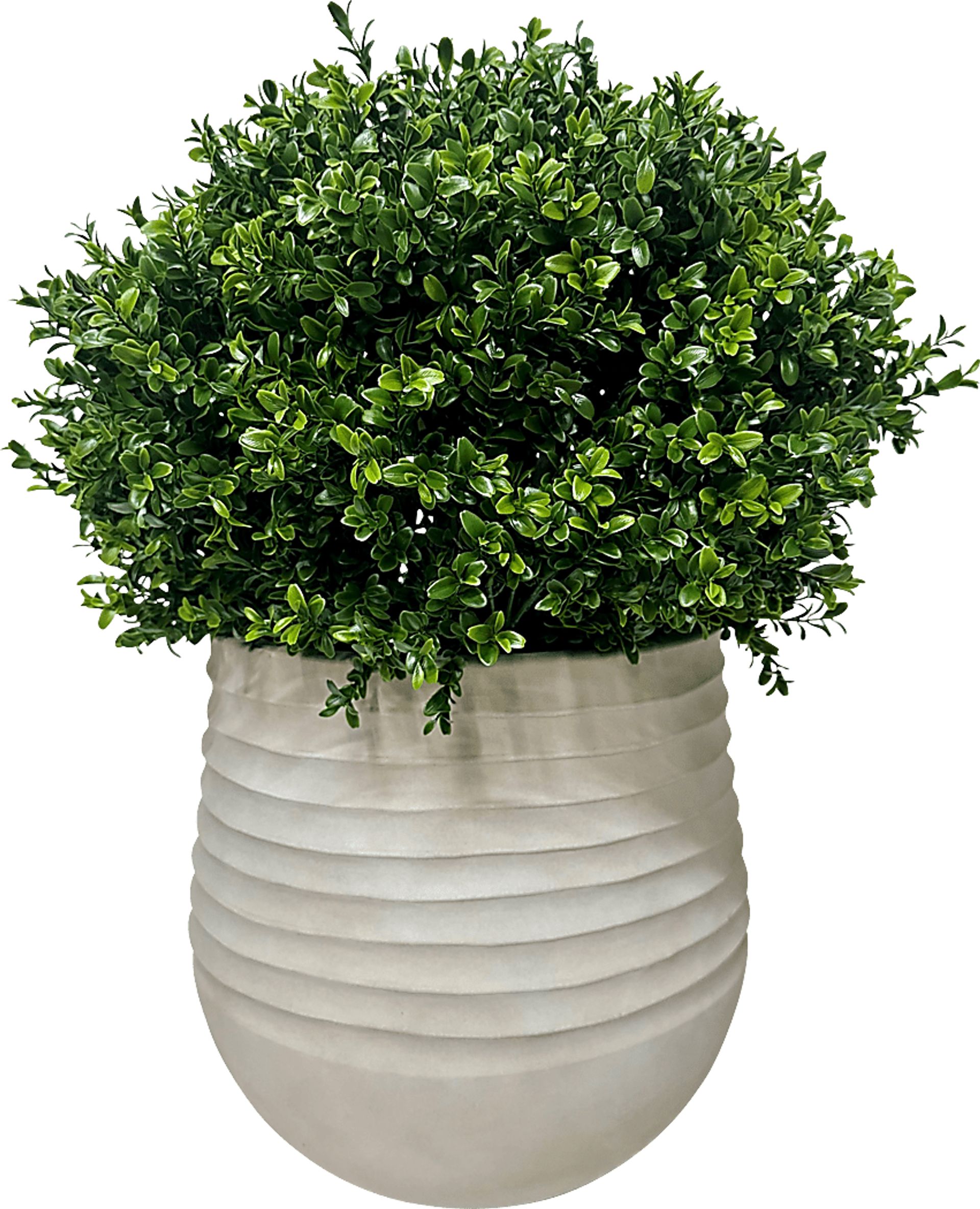Boulee Green 33 in. UV Artifical Boxwood Ball in White Planter - Image 1