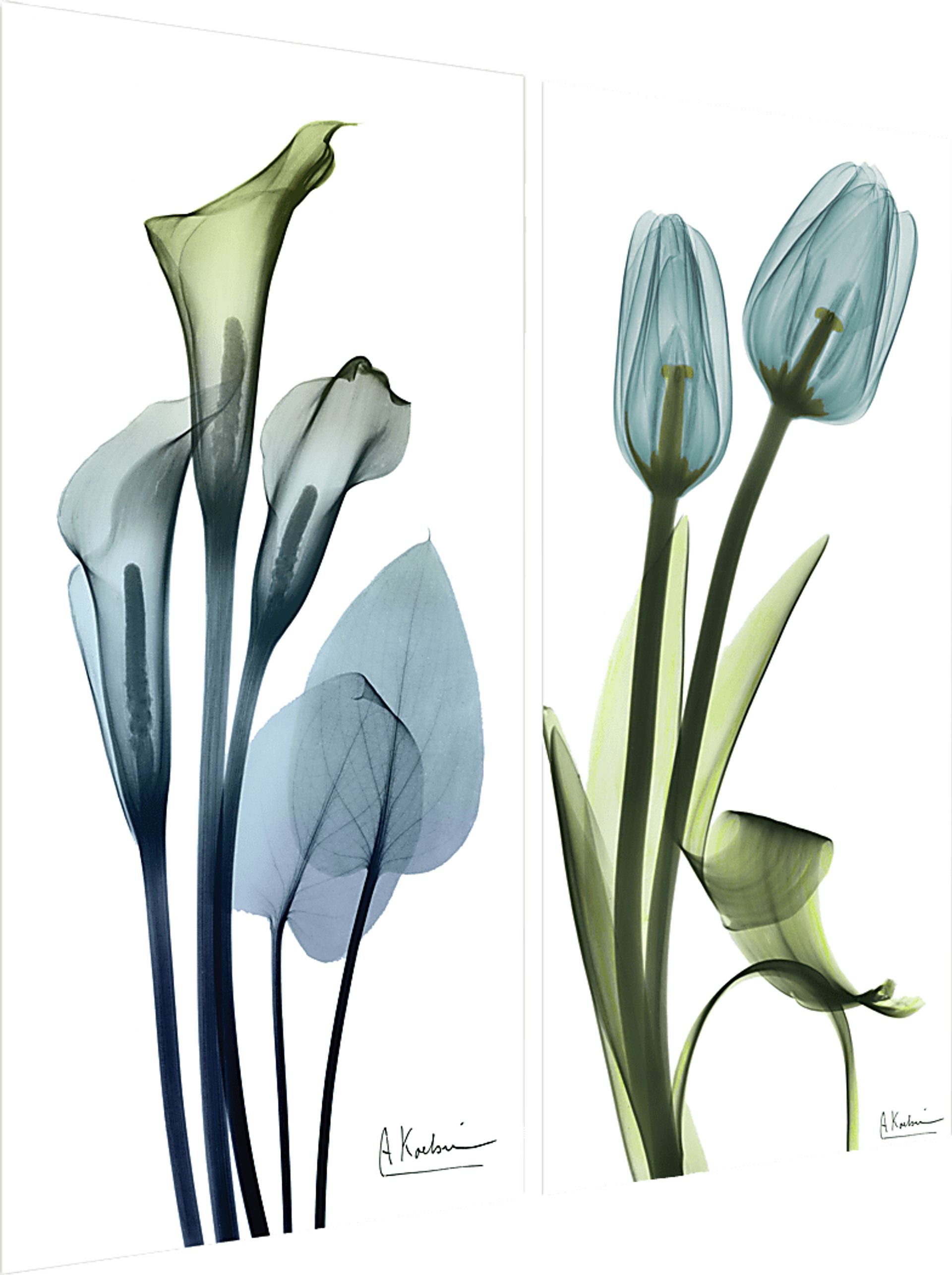 Bowra Blue Artwork, Set of 2 - Image 4
