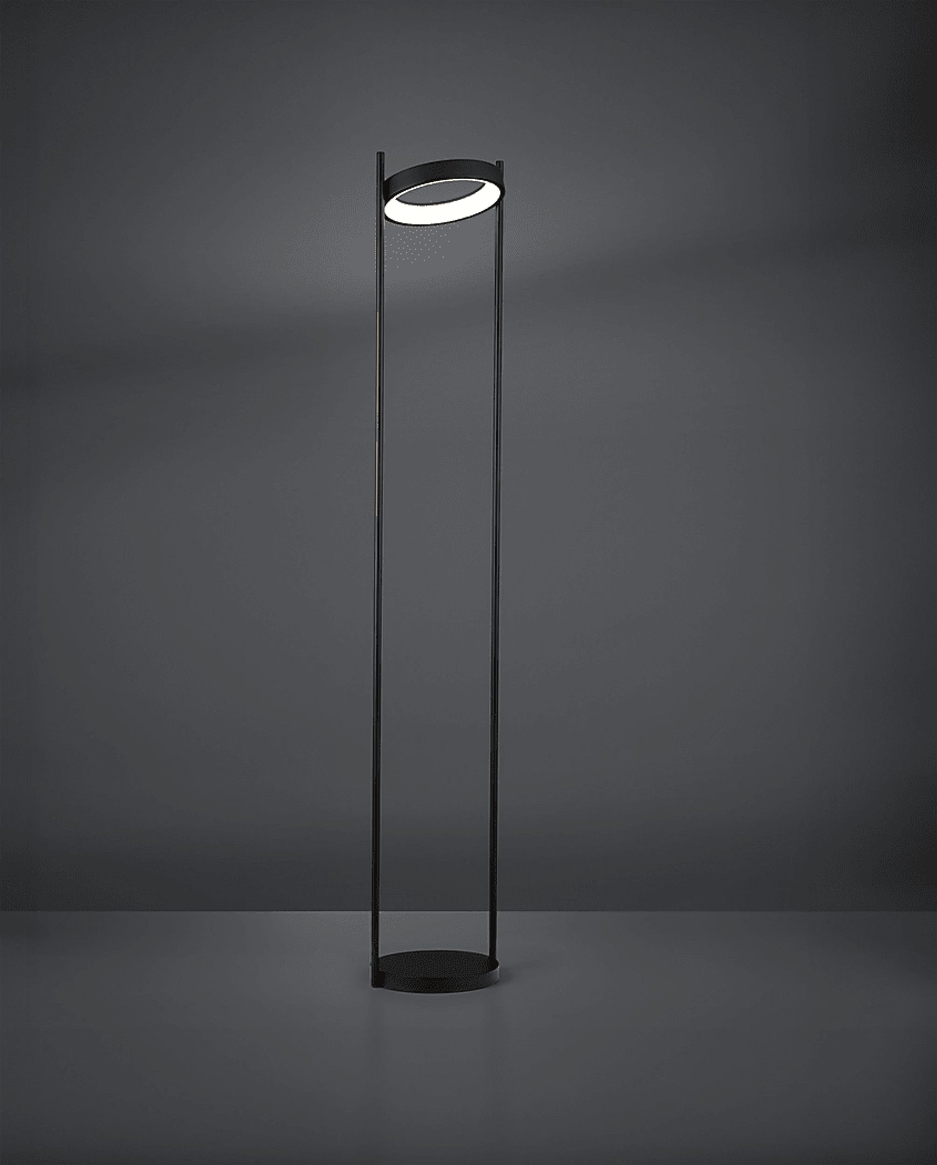 Boxwood Lake Black Floor Lamp - Image 2