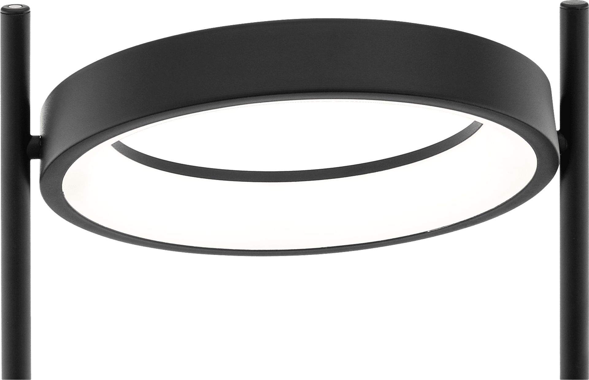 Boxwood Lake Black Floor Lamp - Image 4