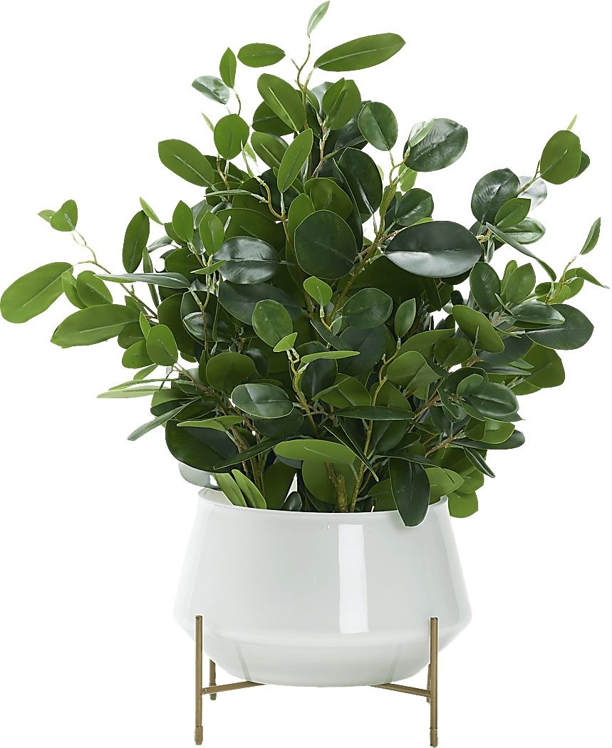 Boyar White Ficus Silk Plant