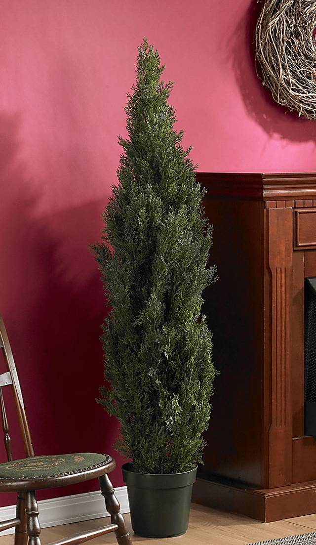 Brinlee Green Cedar Indoor/Outdoor Silk Tree - Thumbnail - Image 2
