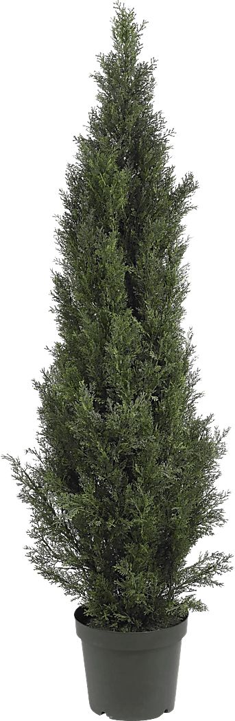 Brinlee Green Cedar Indoor/Outdoor Silk Tree
