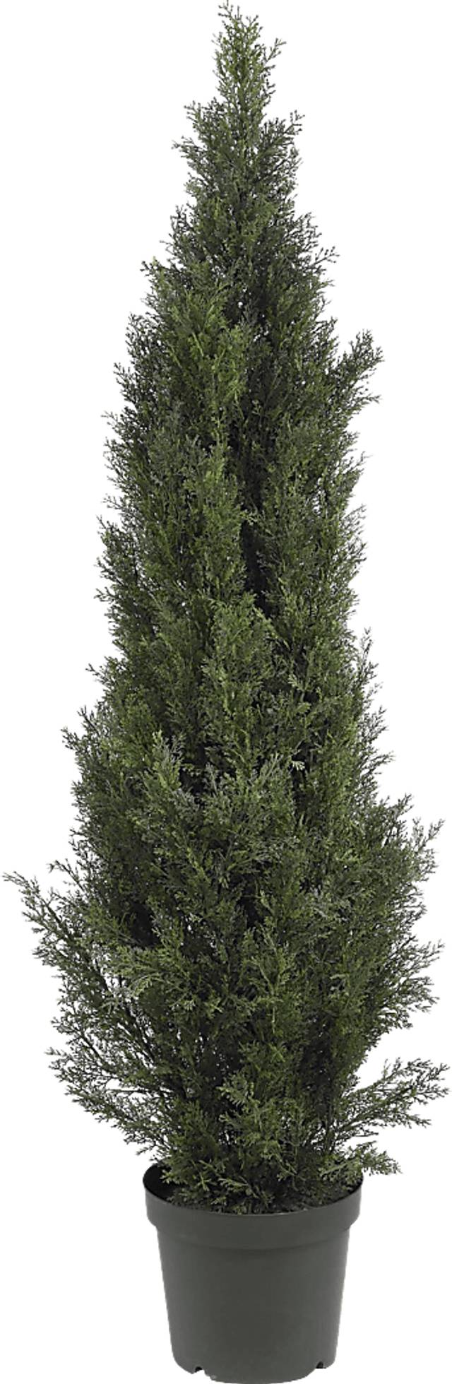 Brinlee Green Cedar Indoor/Outdoor Silk Tree - Thumbnail - Image 1