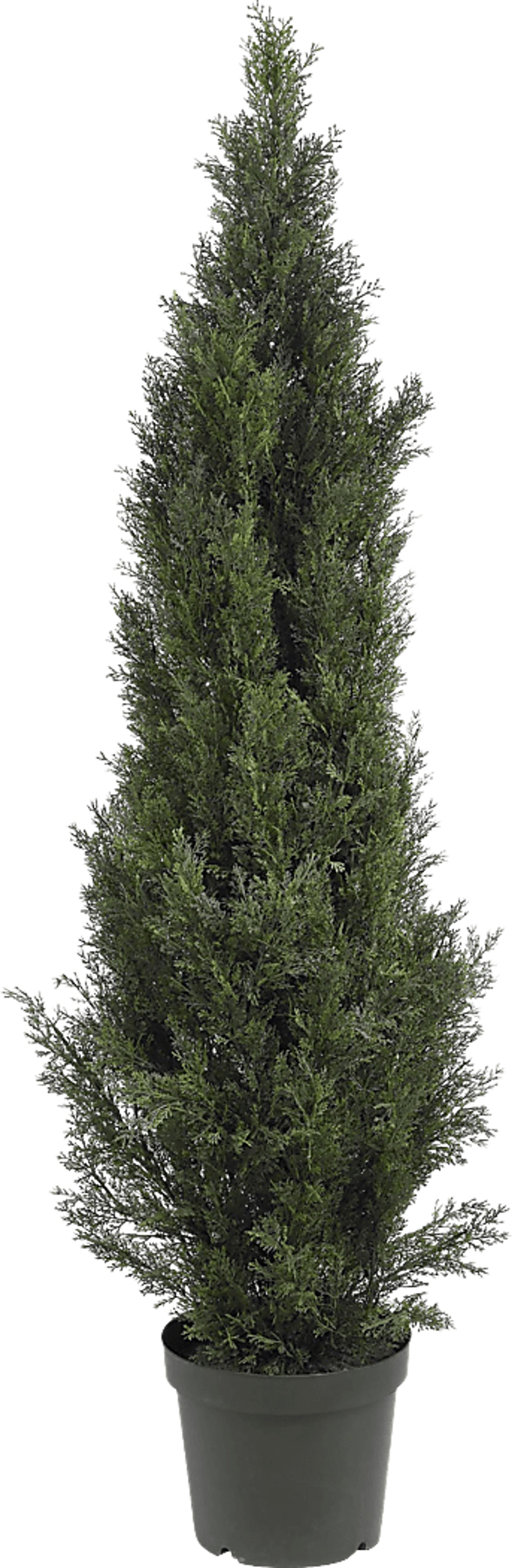 Brinlee Green Cedar Indoor/Outdoor Silk Tree - Image 1