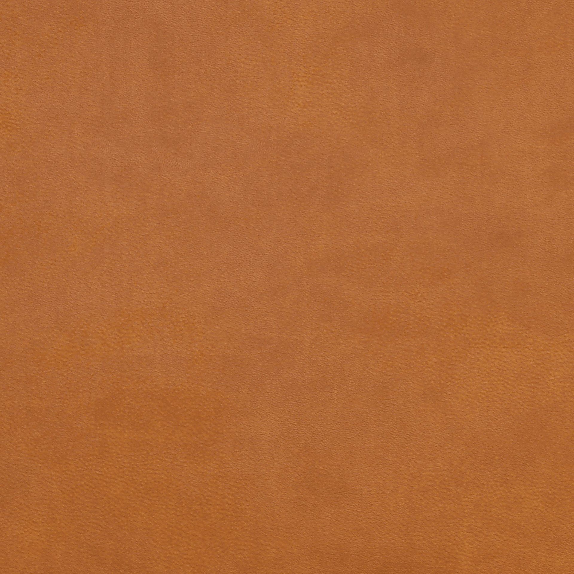 Bristerburg Camel Futon - Image 17