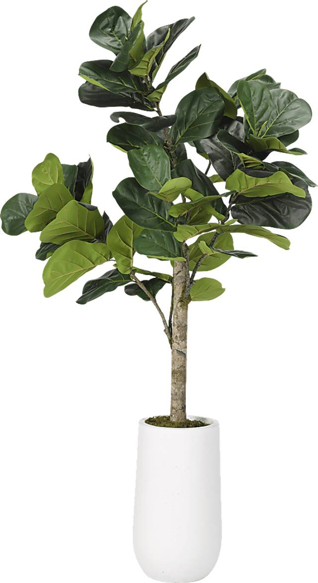 Brynden Green Fiddle Leaf Fig Large Silk Tree - Thumbnail - Image 1