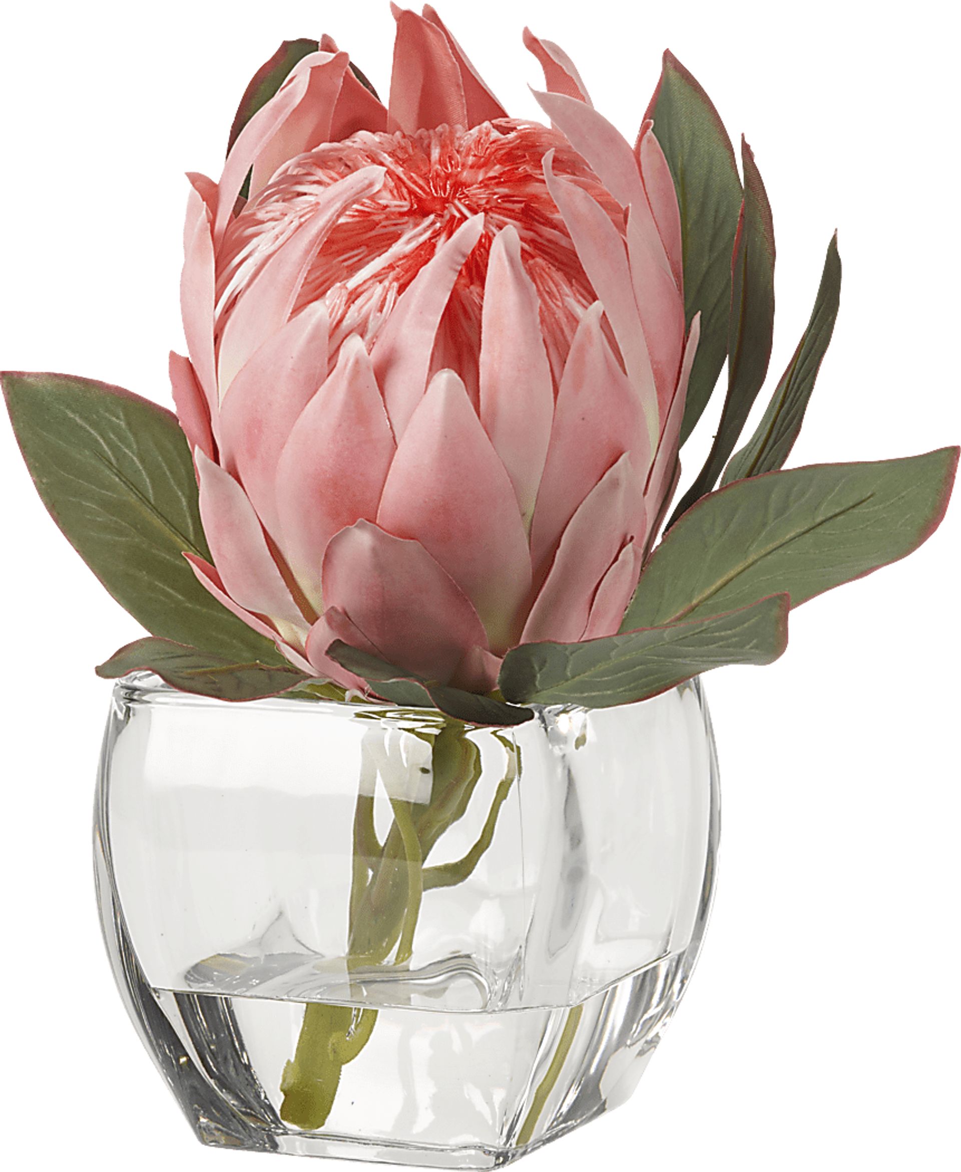 Brysan Pink Queen Protea Silk Plant - Image 1