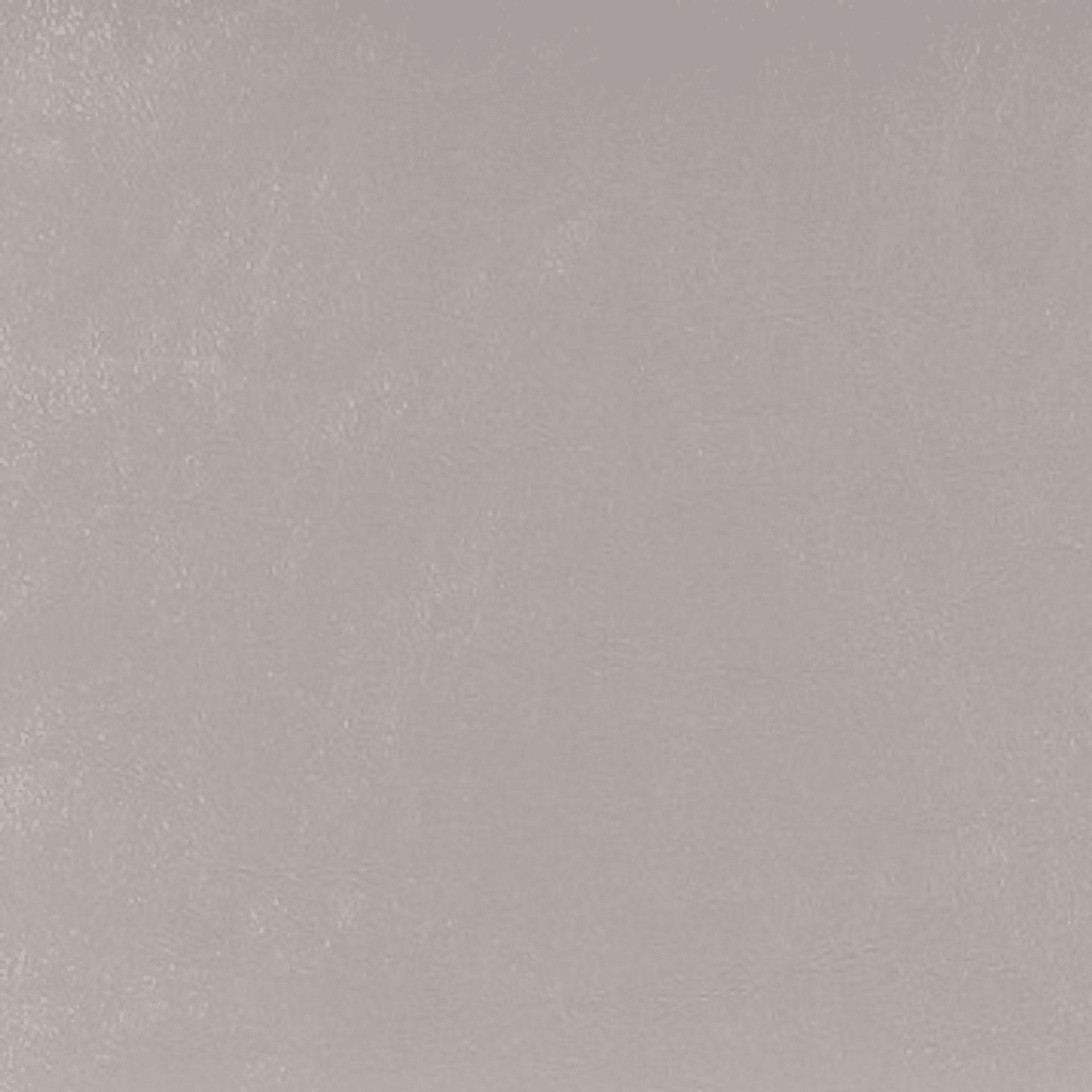 Bullnite Silver Side Chair, Set of 2 - Image 3