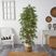 Cacatua Green Tree with Basket