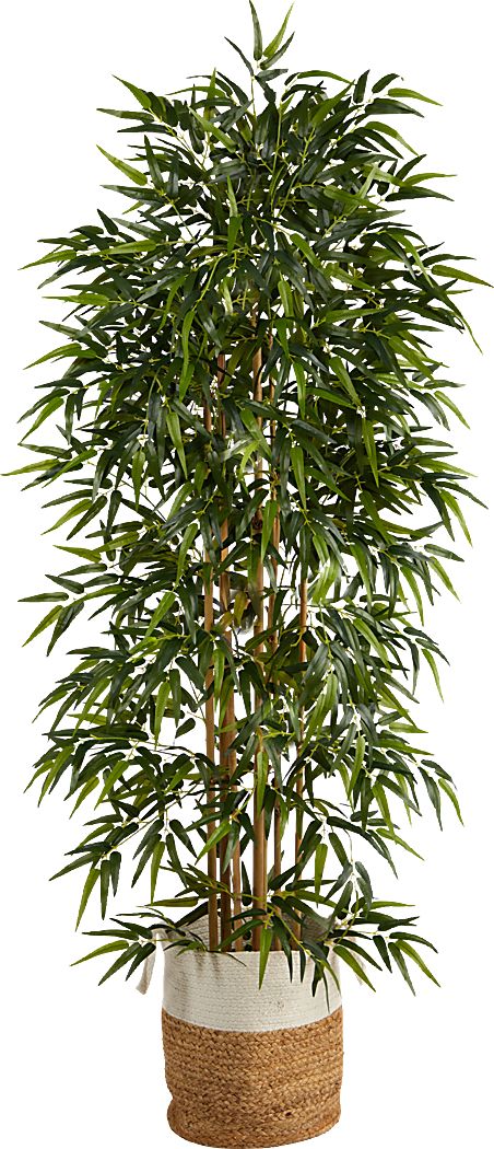 Cacatua Green Tree with Basket