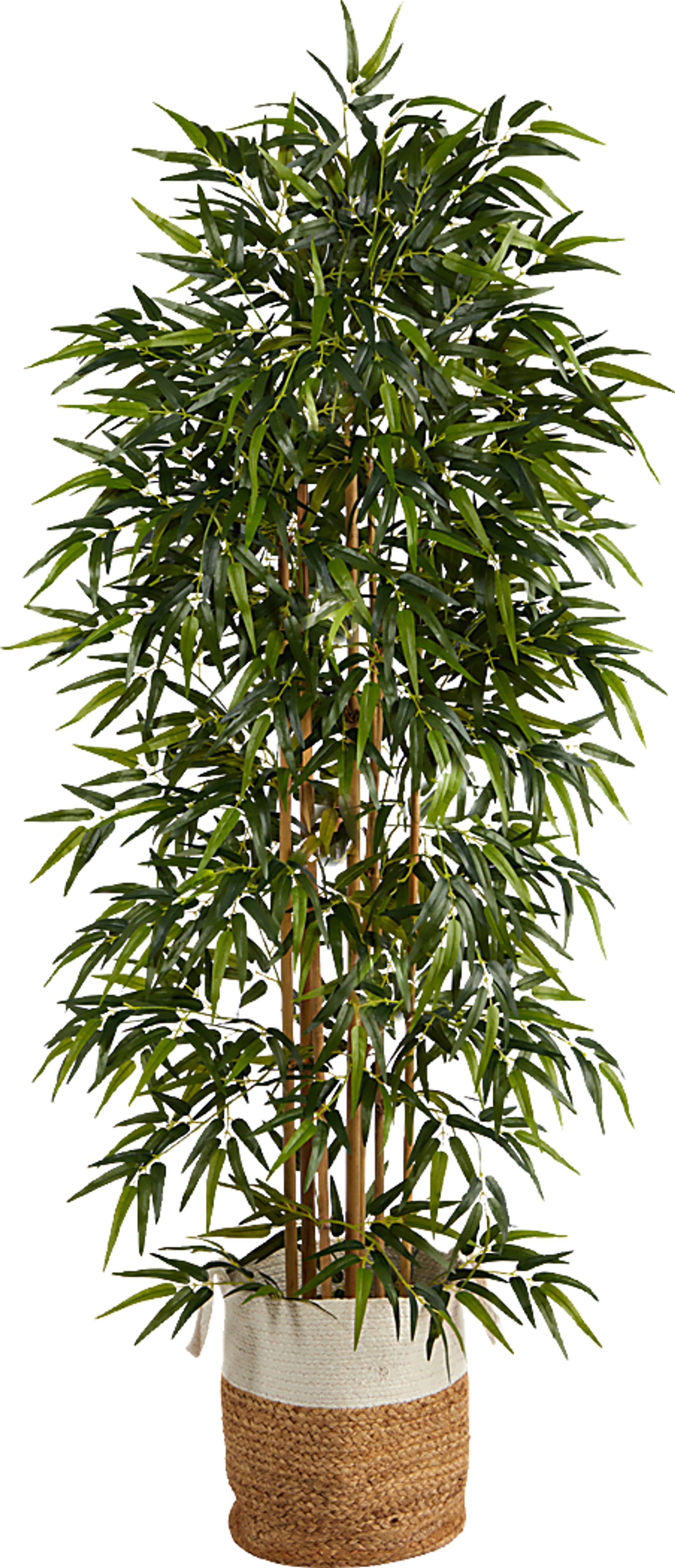 Cacatua Green Tree with Basket - Image 1