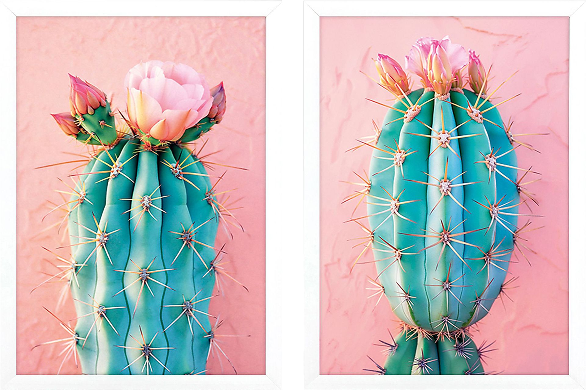 Cactus Blushing II Pink Artwork, Set of 2 - Image 1