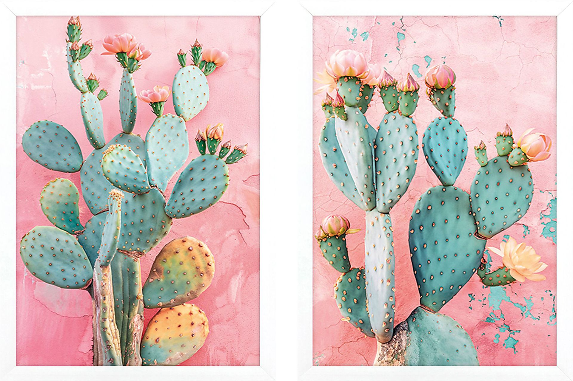 Cactus Blushing Pink Artwork, Set of 2 - Image 1