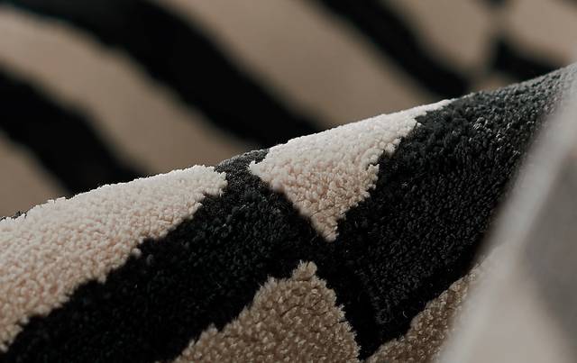 Caelia Black 7'10 x 9'10 Rug - Thumbnail - Image 7