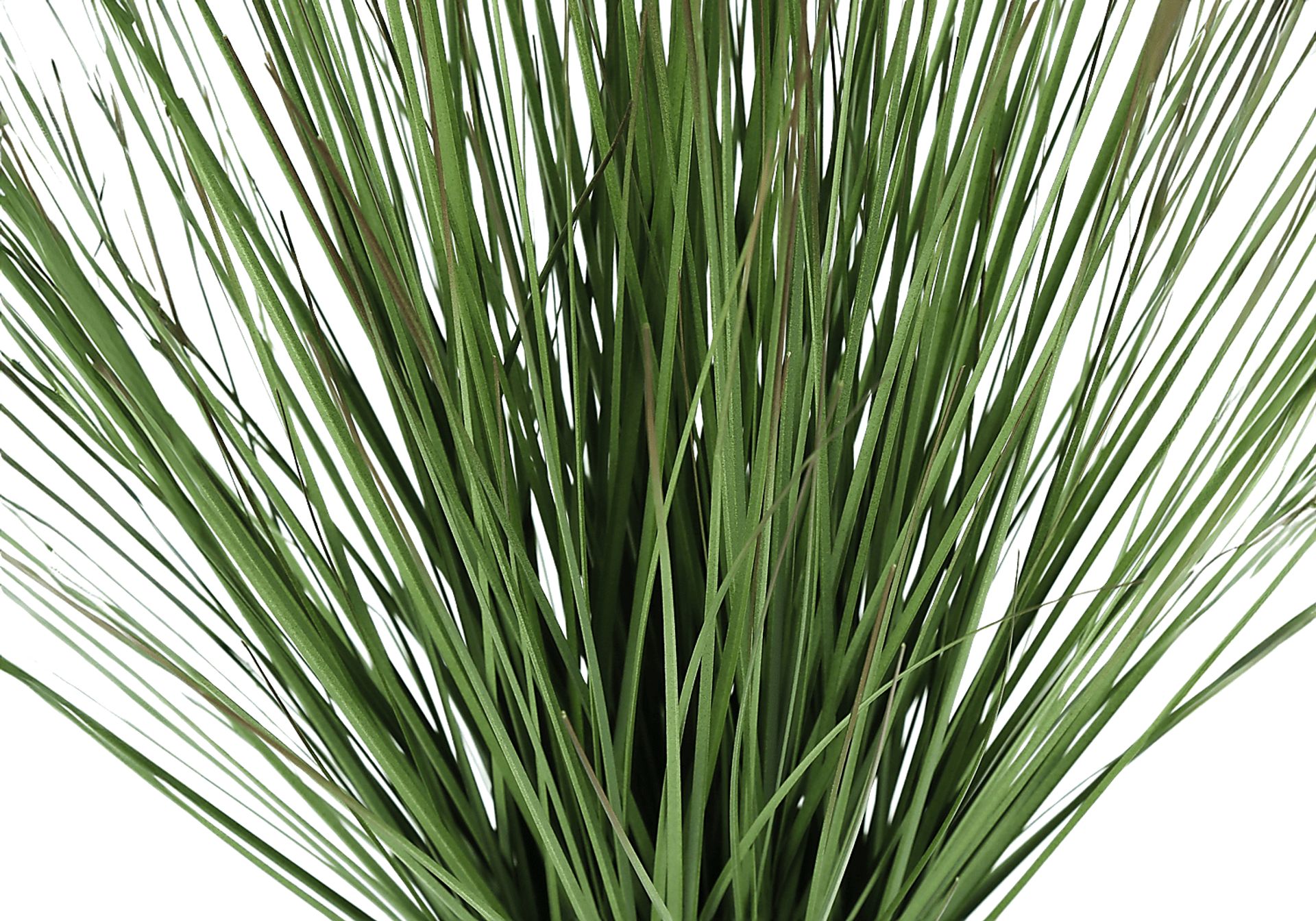 Calamondin Green Artificail Grass Plant - Image 4
