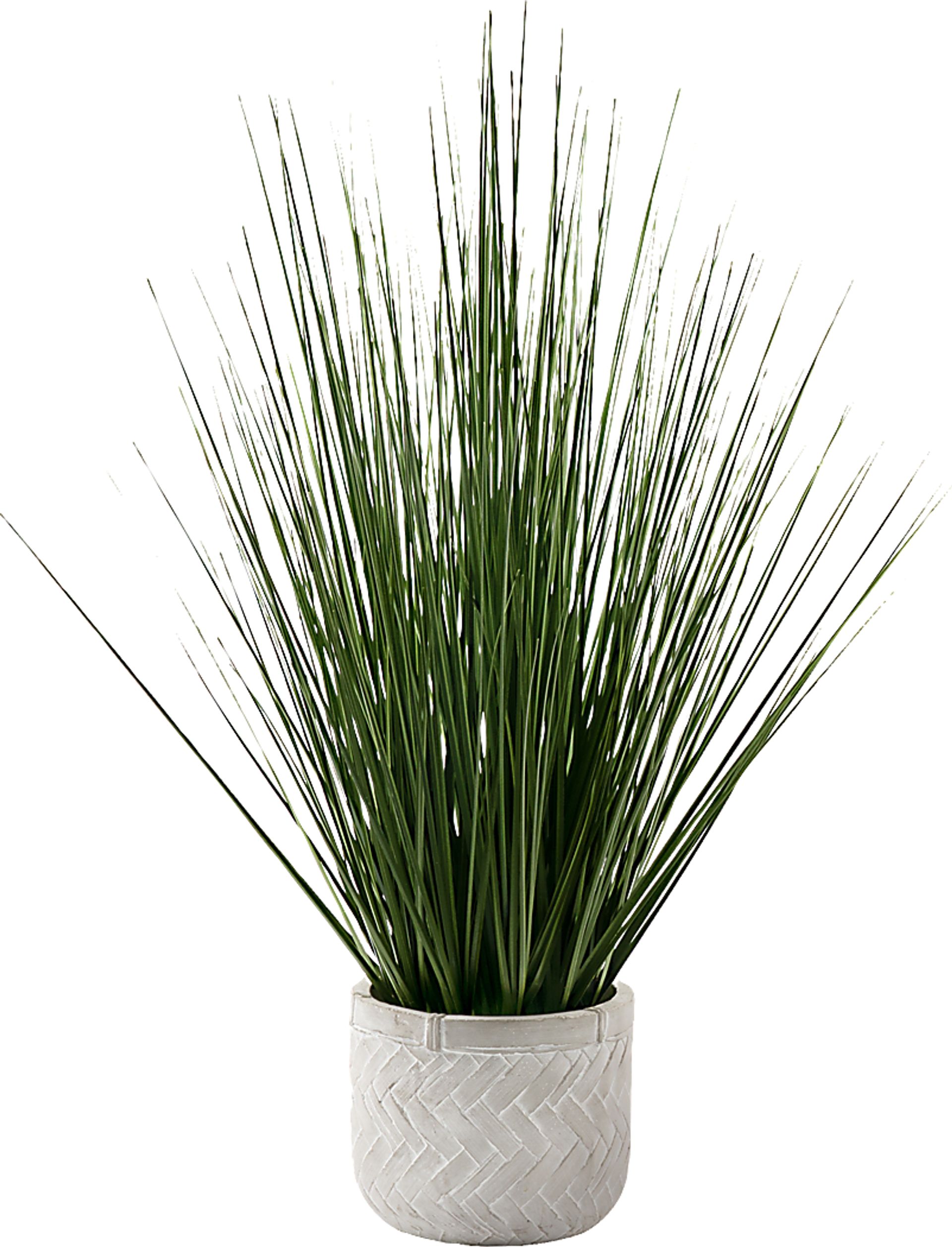 Calamondin Green Artificail Grass Plant - Image 1