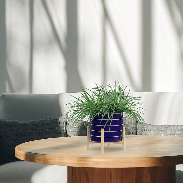 Caliborne Blue Planter - Thumbnail - Image 2