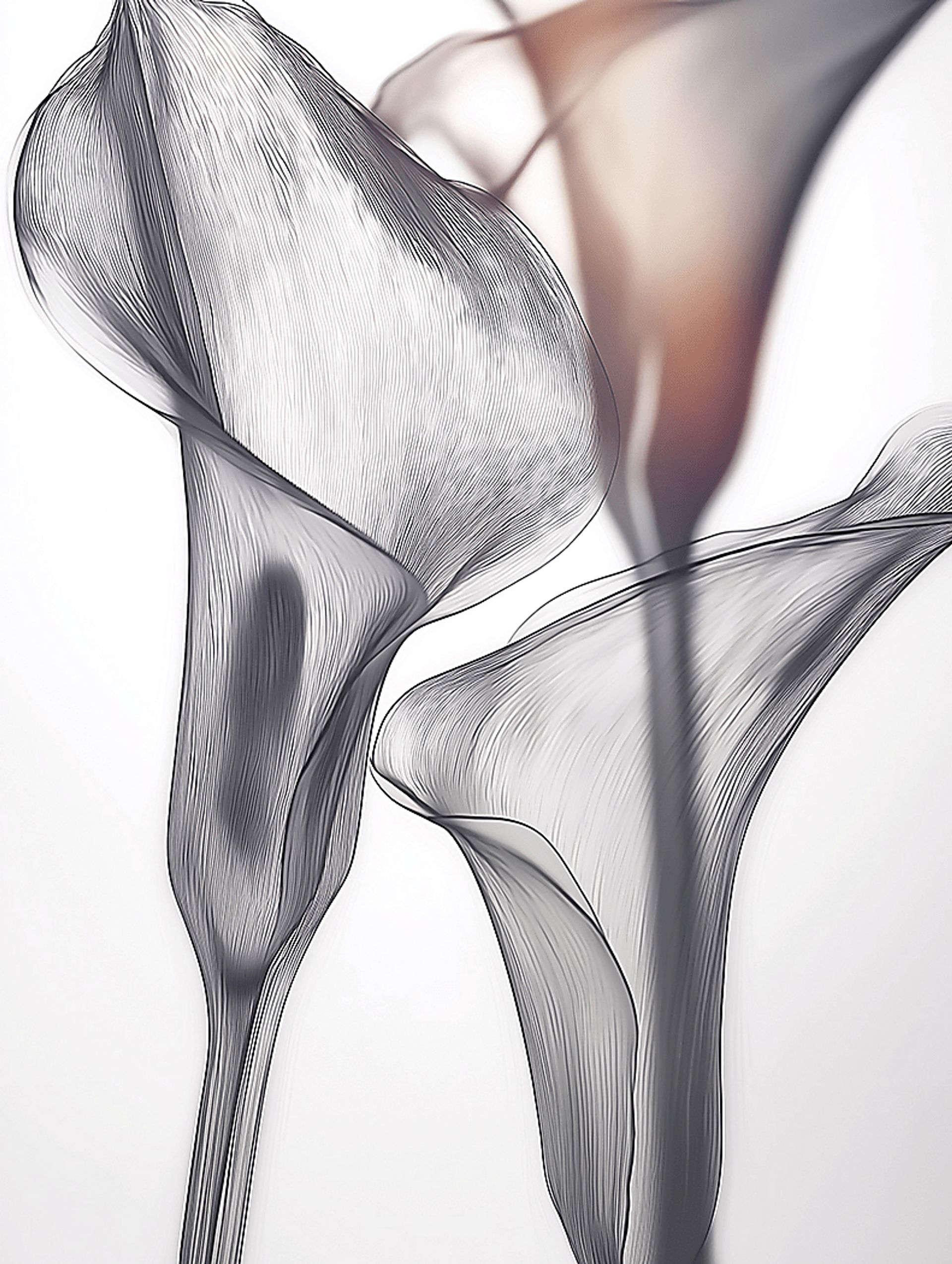 Cally I White Artwork - Image 1