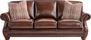 sleeper sofa